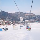 용평리조트 이미지