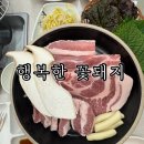 꽃돼지식당 | 대구 신암동 맛집 동구 고기집 행복한꽃돼지