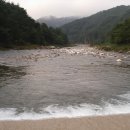 산새소리물소리 이미지