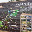 산남새마을금고 | 거슨새미오름, 안돌오름, 밧돌오름 _ 산남초록산악동호회 정기산행