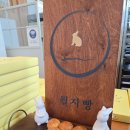 라온닷 이미지