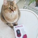 벳메이트 이미지