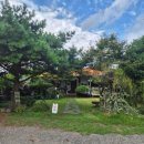 정원 | [공지] [카페] 제주 서귀포 카페, 약천사 브런치 맛집 &#39;동백정원&#39; 후기 !