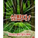 함양산삼사랑 | 부쩍 기운 없고 지치는 요즘, 진시황이 찾던 '산삼순백' 효능이 정말 있을까 궁금해서 찾아봤어요