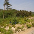 제천공인중개사사무소 이미지