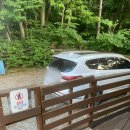 티나펜션 | 동탄인근 애견 동반 독채펜션, 감성숙소, 용인 티나독채펜션 후기