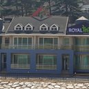 로얄트리 이미지