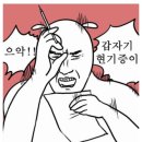 해수전복 이미지