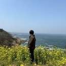 하서초등학교 | [전북강의] 학생 참정권 교육 다녀왔어요~