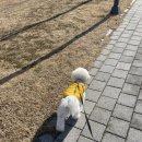 눈보뛰 프리미엄 이미지