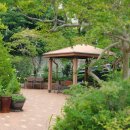 새라새요양병원 이미지