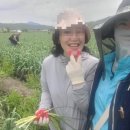 세은농장 이미지