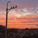 초지 359 이미지