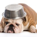 연수동물메디컬센터 이미지