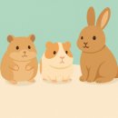 백두 동물병원 이미지