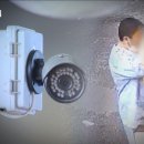 일베蟲의 최후 이미지