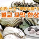 꼬막한상 Daum카페