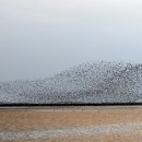 세창한의원 이미지