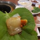 용궁목장 이미지