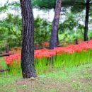 가오근린공원 이미지