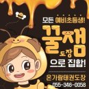 온가람태권도장 이미지