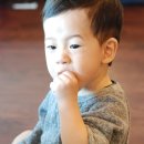 귀촌샤브칼국수 네이버블로그