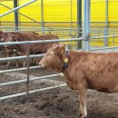 바이오뱅크 주식회사 이미지