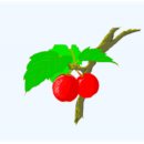 앵두나무우물가에 이미지