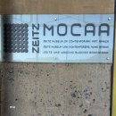 도마길 일원 | 내돈내산 아프리카 패키지여행 후기 또는 일기 |7|