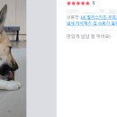 릴리즈헬스케어 이미지