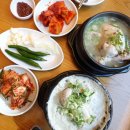 백년토종삼계탕 운정점 이미지