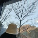 자연과 함께하는 초록 힐링 2회기 | 원주 힐링포레스트 신림 상원사 치악산펜션 자연과 함께하는 숙소 추천