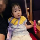 용인 포은아트홀에서 넘버블록스 뮤지컬 26개월 아기 첫 관람 후기 (생생 경험담)