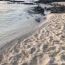 홍조바다 이미지