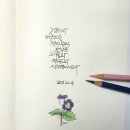 색연필 붓펜 그림 손글씨 이미지
