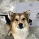 살랑살랑 이미지