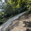 (주)이너네이쳐 | [캠핑후기🏕️🏕️] 밤나무네숲으로 변경추천드려요 / 봉화 청량산 나무네숲 캠핑장 (+라디트 아르카, 꼴로르...