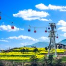 우리 카 랜드 이미지