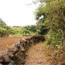 용수마을회관 이미지