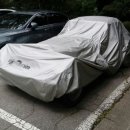 칼리스타 이미지