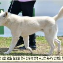 수컷 이미지