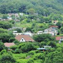 판수농장 이미지