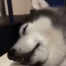 장소미정 이미지