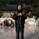 재홍농장 Daum카페