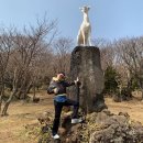 인싸피플 이미지