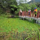 운곡생태습지길 1코스 이미지