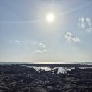 일과1리 | 제주 서귀포시 대정읍) 숨은 명소 바다 기찻길 솔직후기