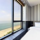 브라운 도트 이미지
