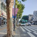 수원-1563 이미지