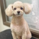 와와살롱 이미지